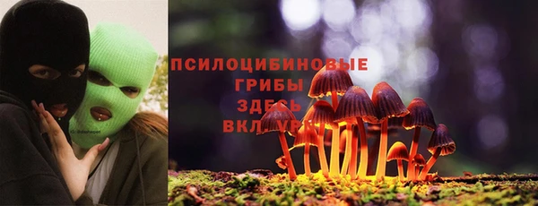 амф Переславль-Залесский