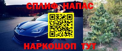 прущие грибы Беслан