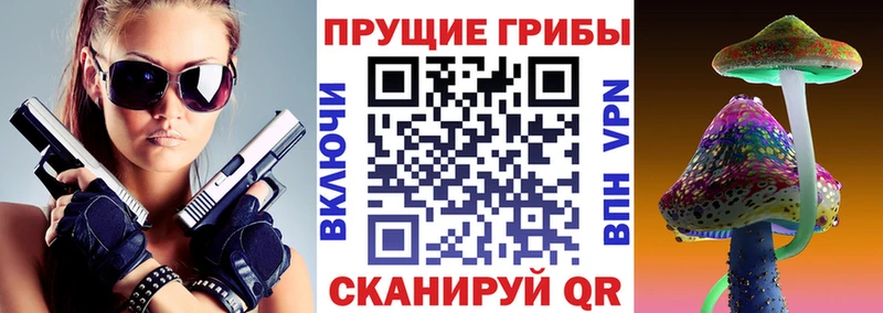 Псилоцибиновые грибы мицелий  Махачкала 